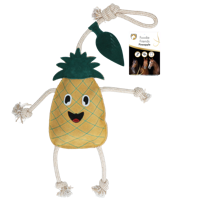 Excellent Horse Foodie Friends Pineapple Crackling