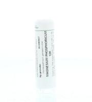 Homeoden Heel Magnesium phosphoricum 12K 6 Gram