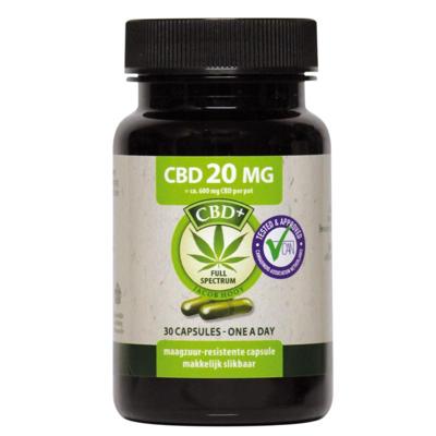 Jacob Hooy CBD Capsules 20mg