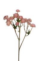 Astrantia l60cm roze kunstbloem Louis Maes - Louis maes