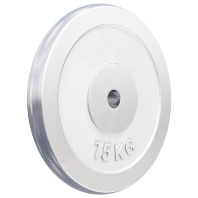 Halterschijf 15 kg Chroom