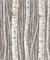 Marburg Timber Behang met berkenbomen - 35394