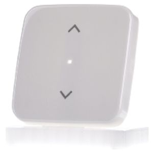 6232-10-214  - Touch rocker for home automation white 6232-10-214