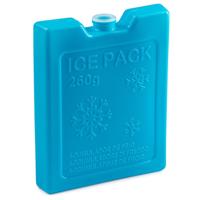 Plasticforte Koelelementen - 260 grams - 13 x 10 cm - blauw - kunststof