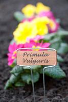 Plaatetiketten koper 16cm set a 6 stuks - Nature