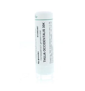 Thuja occidentalis 30K