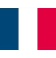 20x Stickertjes Frankrijk vlag 10 cm   -