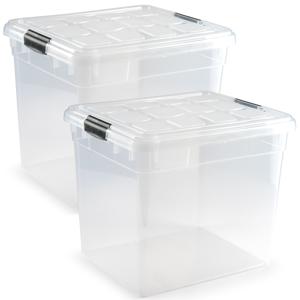 PlasticForte Opbergbox - 2x - met deksel - 35 liter - L42 x B36 x H35 cm