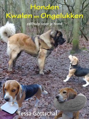 Honden kwalen en ongelukken - Tessa Gottschal - ebook