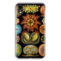 Haeckel Ascidiae: iPhone XR Volledig Geprint Hoesje