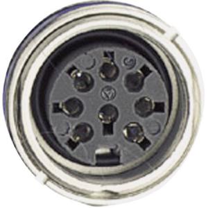 Amphenol C091 31N107 1002 Ronde connector Bus, inbouw Totaal aantal polen: 7 Serie (ronde connectors): C091 1 stuk(s)