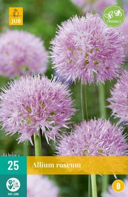 Allium Roseum 25 bollen