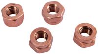 Dresselhaus Thermag slotted nuts 6-point / m10x17/ 4 pcs.