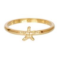 iXXXi Vulring Symbol Sea Star Goud
