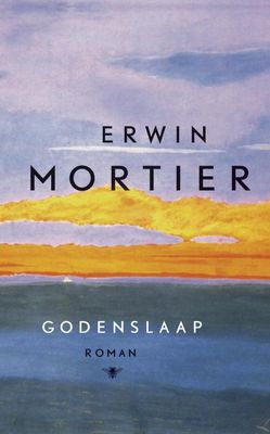 Godenslaap - Erwin Mortier - ebook