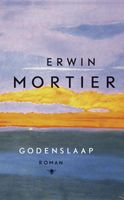 Godenslaap - Erwin Mortier - ebook