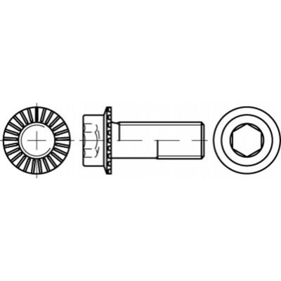 TOOLCRAFT TO-5444424 Zeskantbout M8 16 mm Binnenzeskant (inbus) 88912 200 stuk(s)