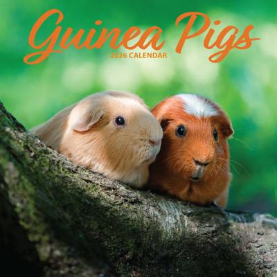 Cavia Kalender 2026