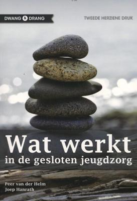 Wat werkt (Paperback)