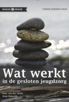 Wat werkt (Paperback)