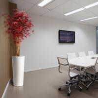 Acer kunstboom 160cm - burgundy
