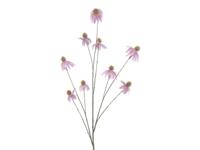 Kunstbloem echinacae purple, 123 cm - Hortus