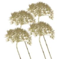 Kunstbloem Berenklauw/Heracleum - Set van 4x stuks - 80 cm - Kunstbloemen boeketten - kunsttak