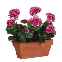 Mica Decorations Geranium Kunstplant - L29 x B13 x H40 cm - Paars