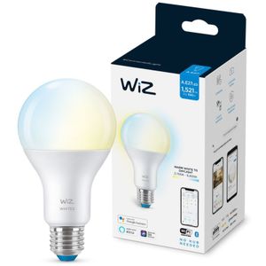 Lamp A67 E27 Ledlamp