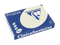 Clairefontaine Trophée Pastel, gekleurd papier, A4, 120 g, 250 vel, parelgrijs
