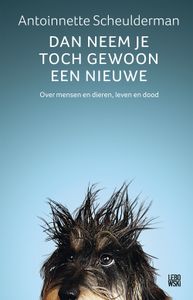 Dan neem je toch gewoon een nieuwe - Antoinnette Scheulderman - ebook