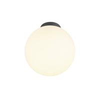 SLV 1008127 SUN Plafondlamp E27 60 W Zwart