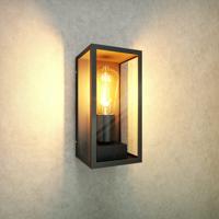 Industriële LED Wandlamp - Excl. E27 lichtbron - IP44 - Helder glas - Zwart