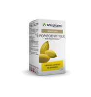 Pompoenpitolie - thumbnail