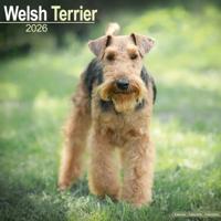 Welsh Terrier Kalender 2026