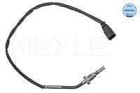 Sensor, uitlaatgastemperatuur 1148000228