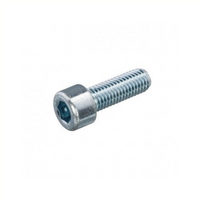 Inbusbout M10x22. Standaardbout verzinkt. Per stuk Inbusbout M10x22. Standaardbout verzinkt. Per stuk