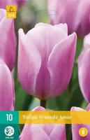 X 10 Tulipa Synaeda Amor - thumbnail