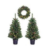 Kerstdecoratie verlichte en versierde krans en boompjes voor de voordeur - Kunstkerstboom - thumbnail