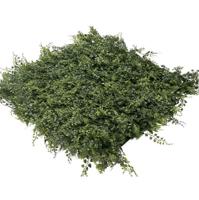 EasyLawn Grass Kunstplantenmat wandplant kunststof Fern 1m2 - Easylawn grass