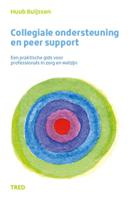 Collegiale ondersteuning en peer support (Paperback)