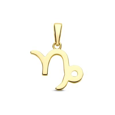 14k Geelgouden Hanger Sterrenbeeld Steenbok - Per Stuk