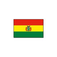 Gevelvlag/vlaggenmast vlag Bolivia 90 x 150 cm   -