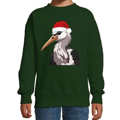 Kersttrui / sweater familie Ooievaar - kinderen - dieren - groen - kerstmuts - Kerstmis Kersttrui / sweater familie Ooievaar - kinderen - dieren - groen - kerstmuts - Kerstmis
