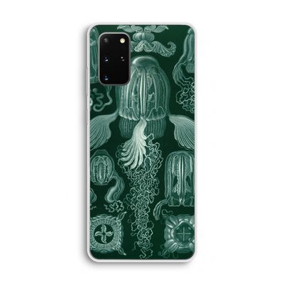 Haeckel Cubomedusae: Samsung Galaxy S20 Plus Transparant Hoesje