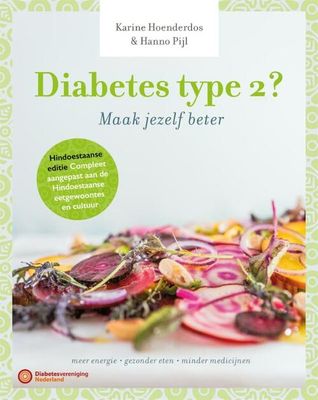 Diabetes type 2 - Hanno Pijl, Karine Hoenderdos - Paperback (9789059564053)