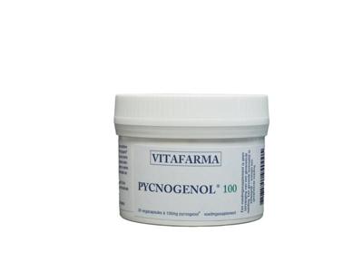 Vitafarma Pycnogenol 200