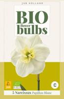 Bio narcis papillon blanc 5bollen