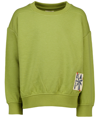 Sweater - Groen Sweater - Groen