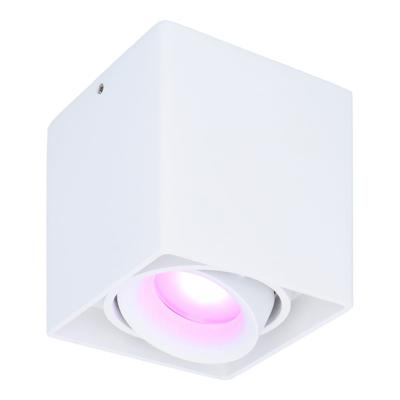 Esto smart Opbouwspot - Vierkant - Plafondspot - Kantelbaar - RGBWW - Wifi + Bluetooth - Google Home, Amazon Alexa en Siri - Wit - Bestuurbaar via App en Stem